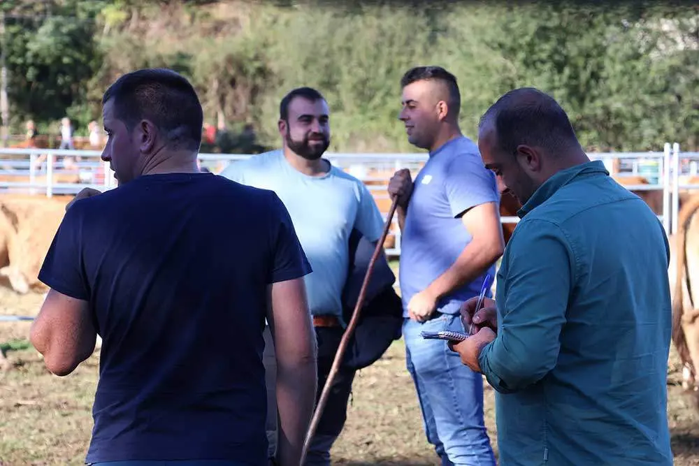 feria-santa-teresa-2024-024