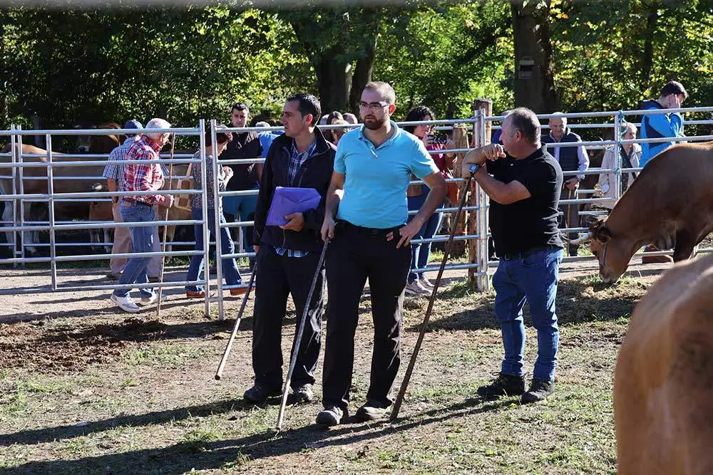 feria-santa-teresa-2024-026