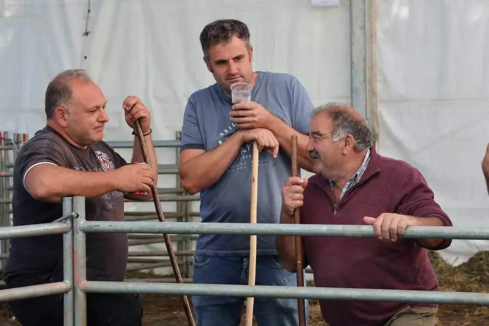 feria-santa-teresa-2024-029