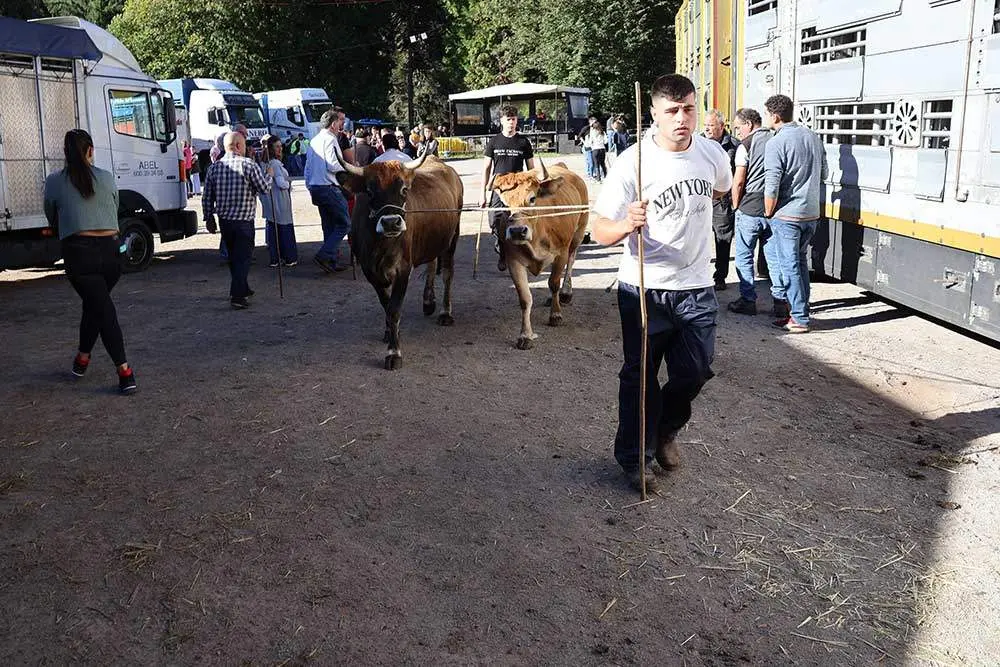 feria-santa-teresa-2024-031