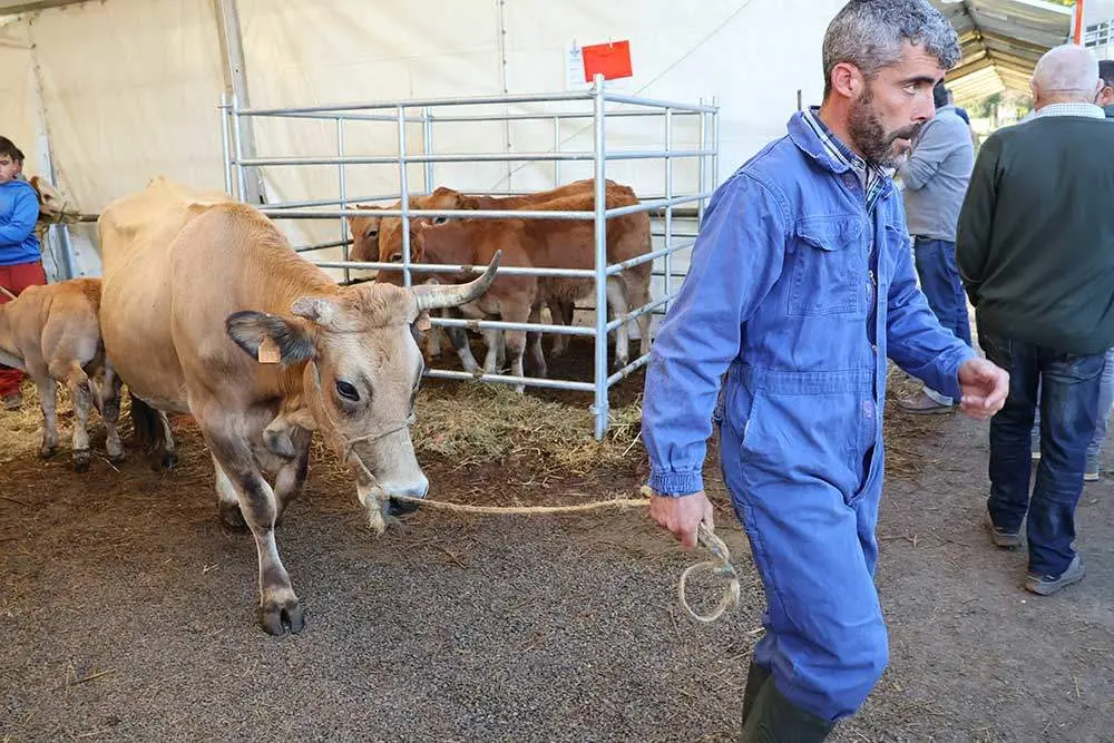 feria-santa-teresa-2024-032