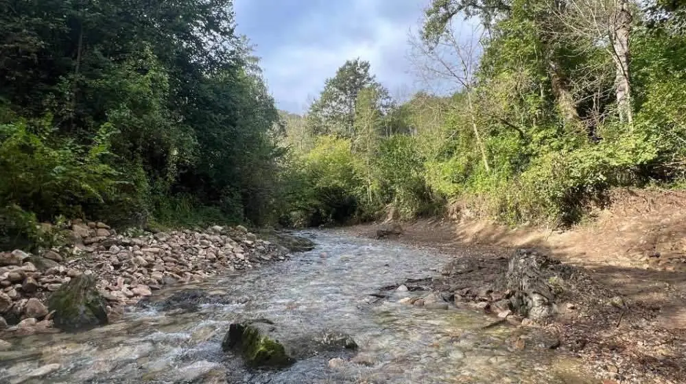 confederacion-samedon-ponga