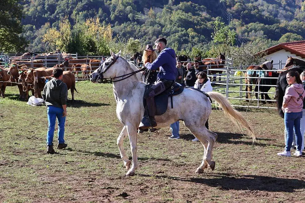 feria-sajambre-2024-025