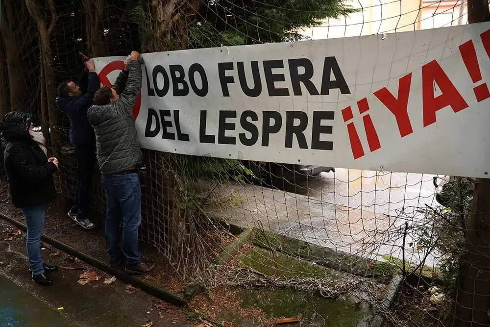 gamoneu-onis-2024-026