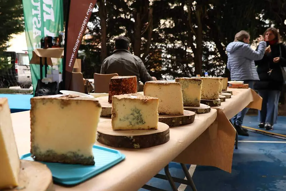 gamoneu-onis-2024-038