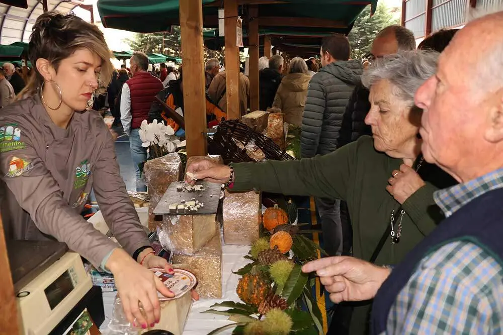 gamoneu-onis-2024-044