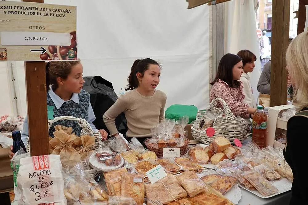 castana-arriondas-2024-03