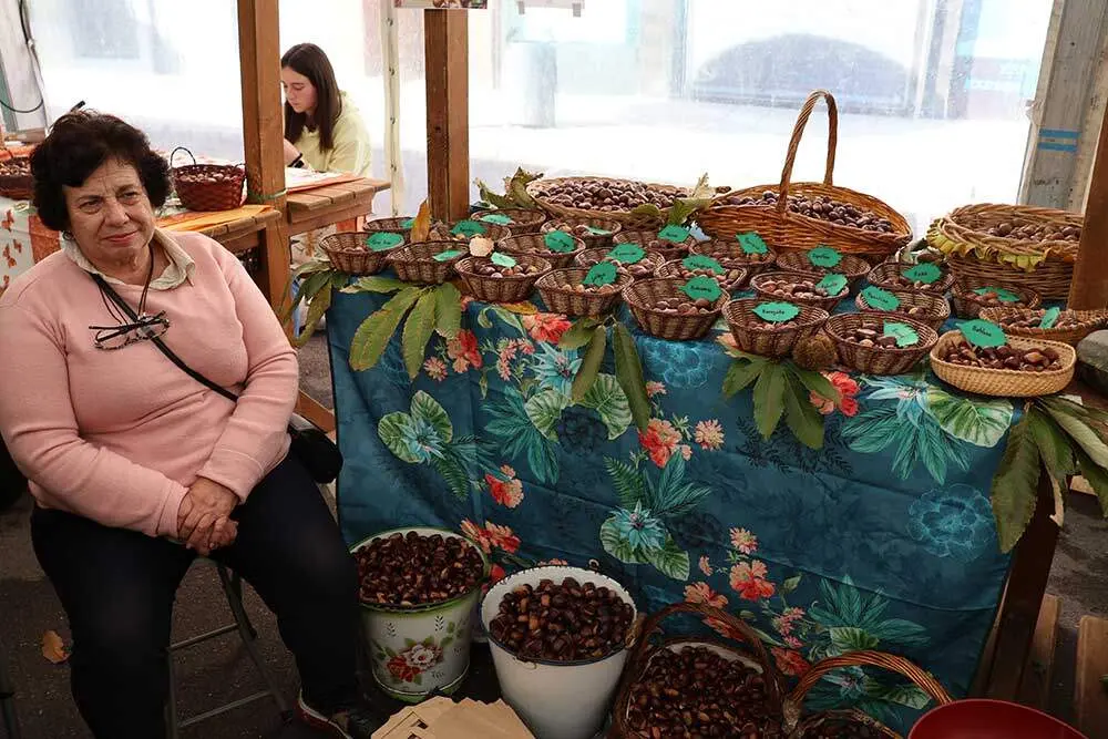 castana-arriondas-2024-04