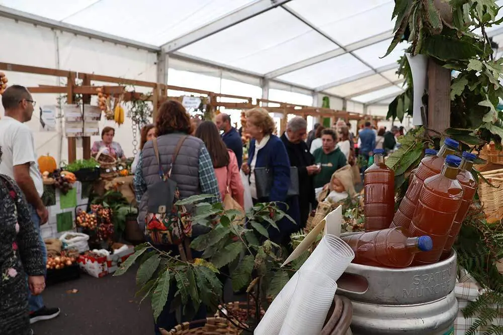 castana-arriondas-2024-011