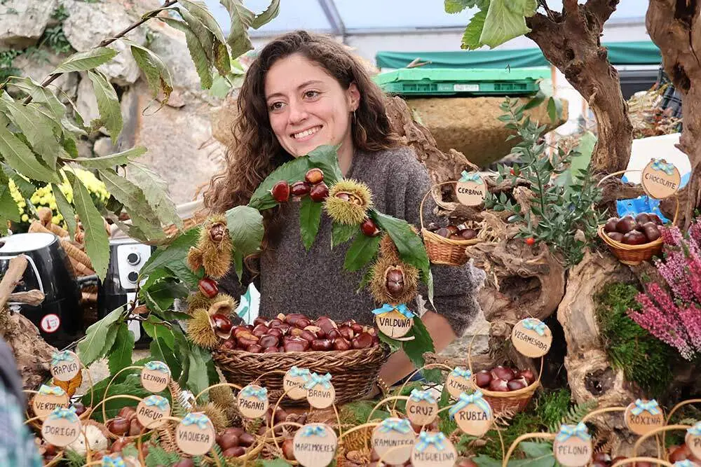 castana-arriondas-2024-012