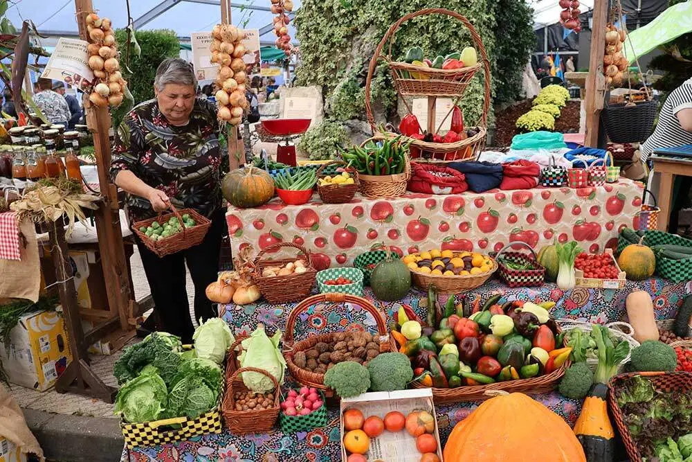 castana-arriondas-2024-024