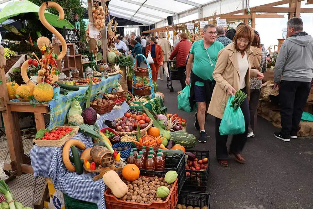 castana-arriondas-2024-025