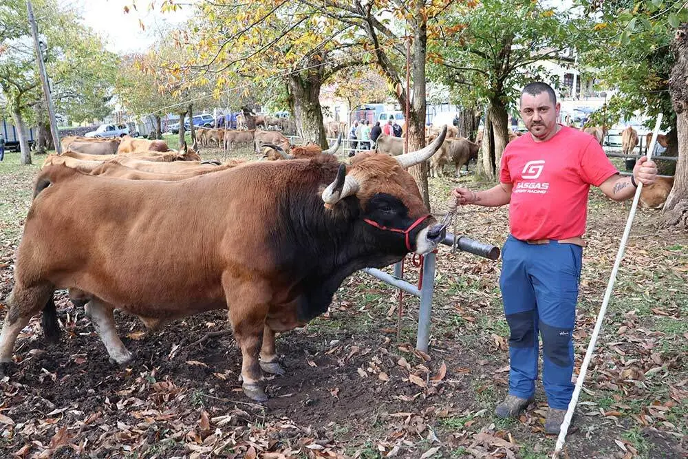 aseamo-acriber-corao-2024-01