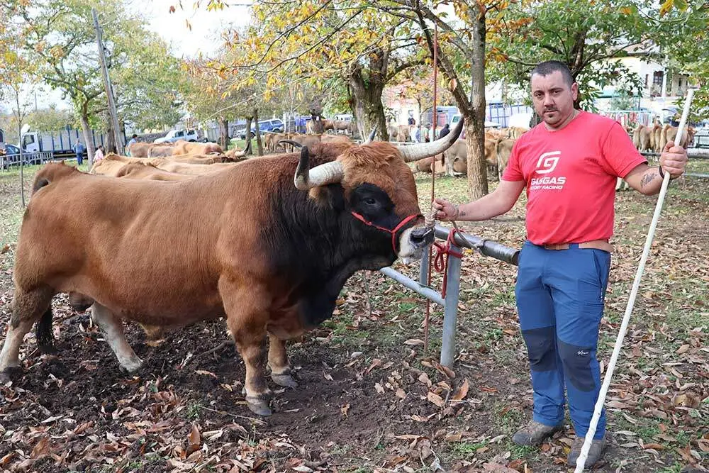 aseamo-acriber-corao-2024-02