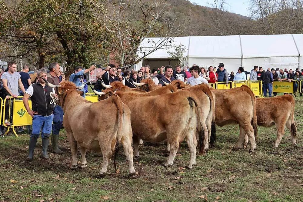 aseamo-acriber-corao-2024-03