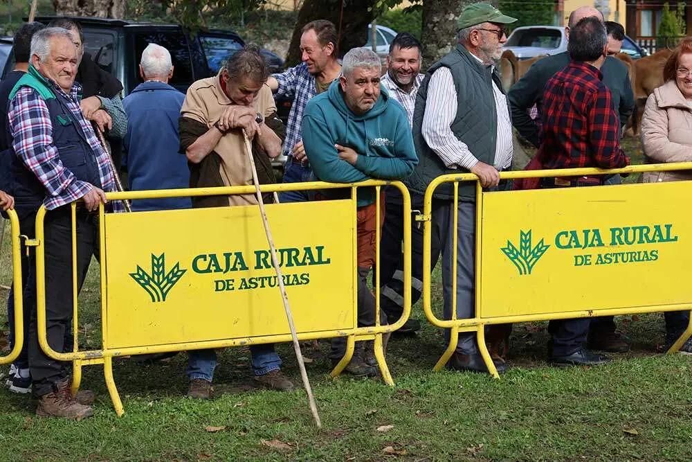 aseamo-acriber-corao-2024-05