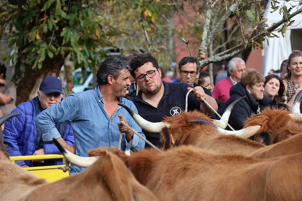 aseamo-acriber-corao-2024-06