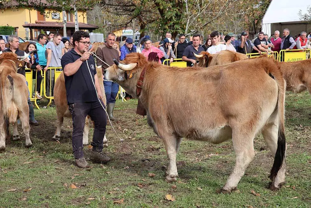 aseamo-acriber-corao-2024-07