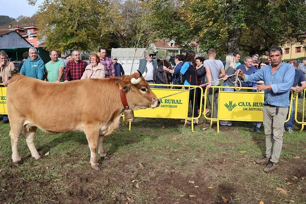 aseamo-acriber-corao-2024-09