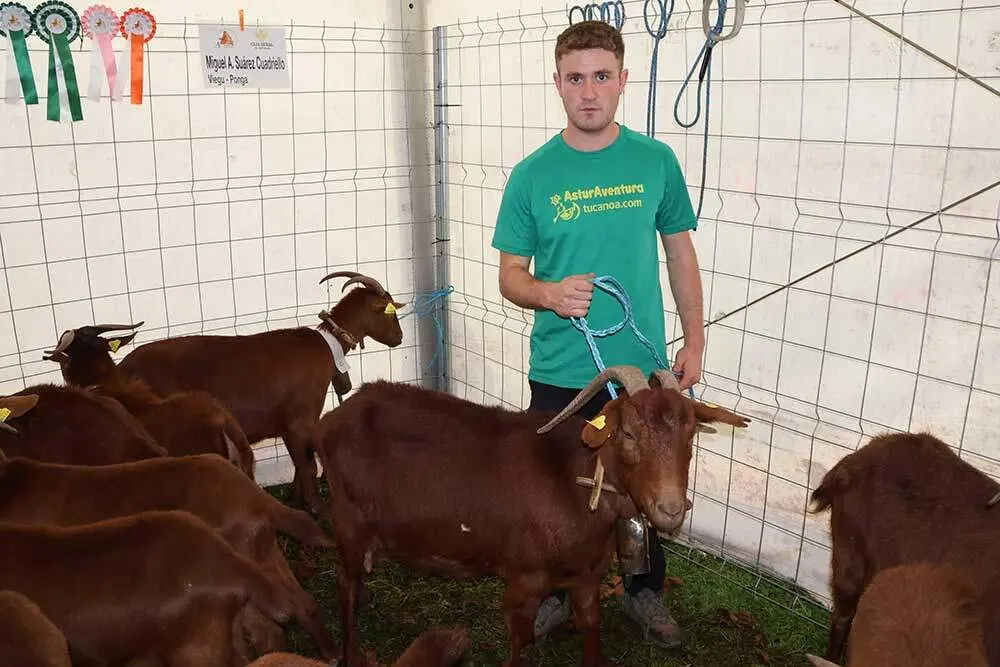 aseamo-acriber-corao-2024-010