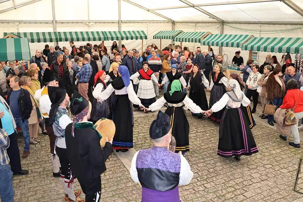 certamen-beyos-ponga-2024-021