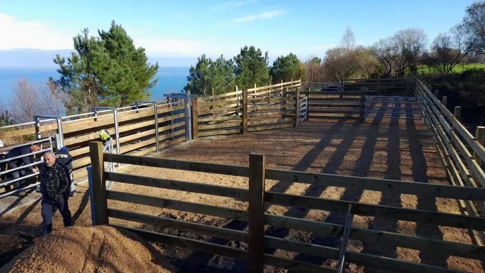 manga-ganadera-rio-nueva-llanes