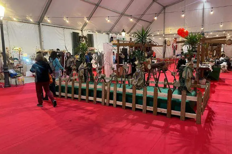 feria-invierno-cangas-onis-2