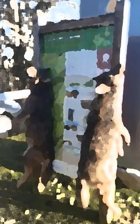 lobos-arcenorio-ponga-01