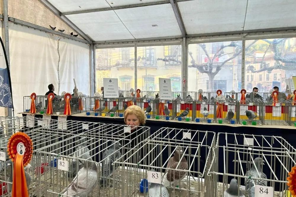 jornadas-colombofilia-ribadesella-3