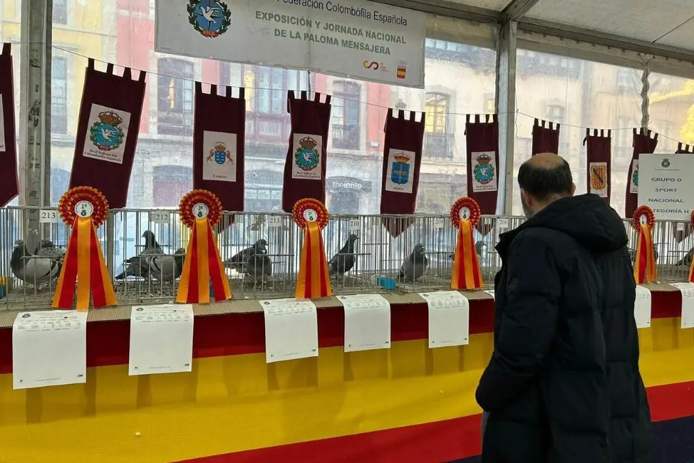 jornadas-colombofilia-ribadesella-4