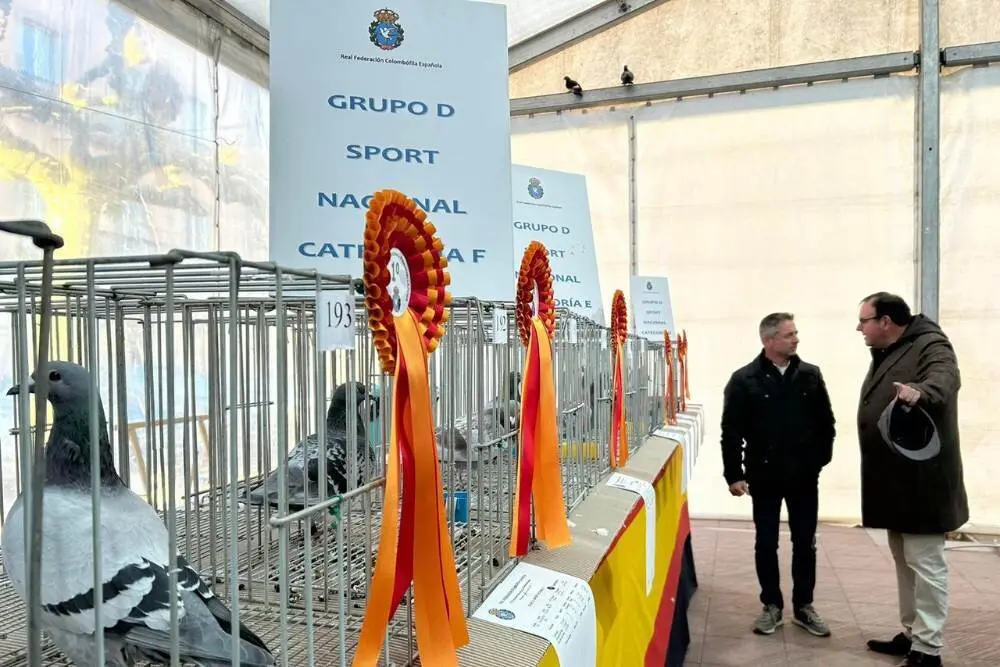 jornadas-colombofilia-ribadesella-6