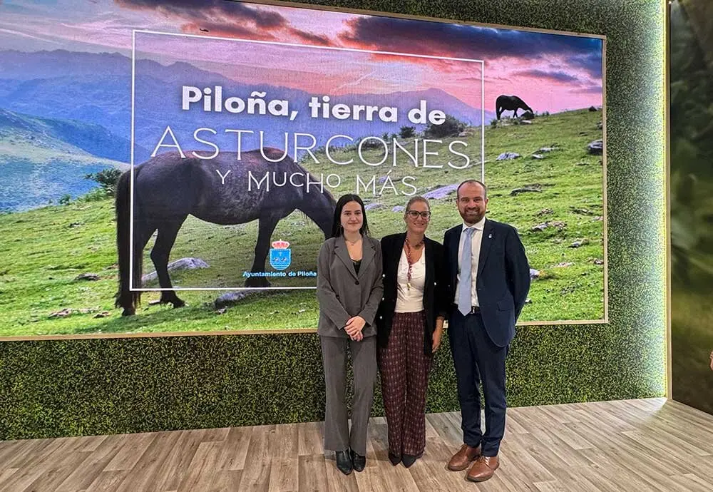 pilona-fitur-2025-01