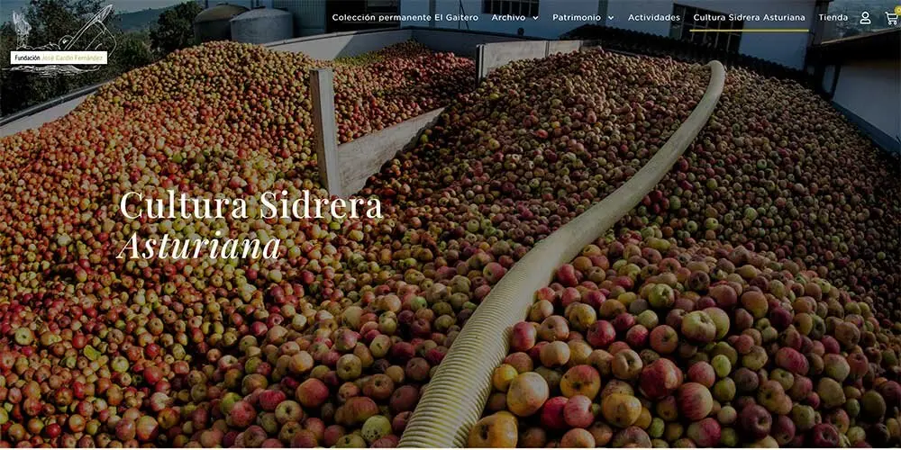 fundacion-jose-cardin