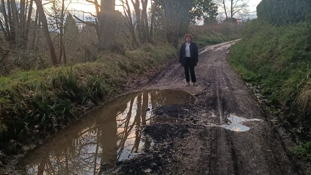 Ana Carmen Y&aacute;&ntilde;ez en un tramo del Camino a su paso por Granda
