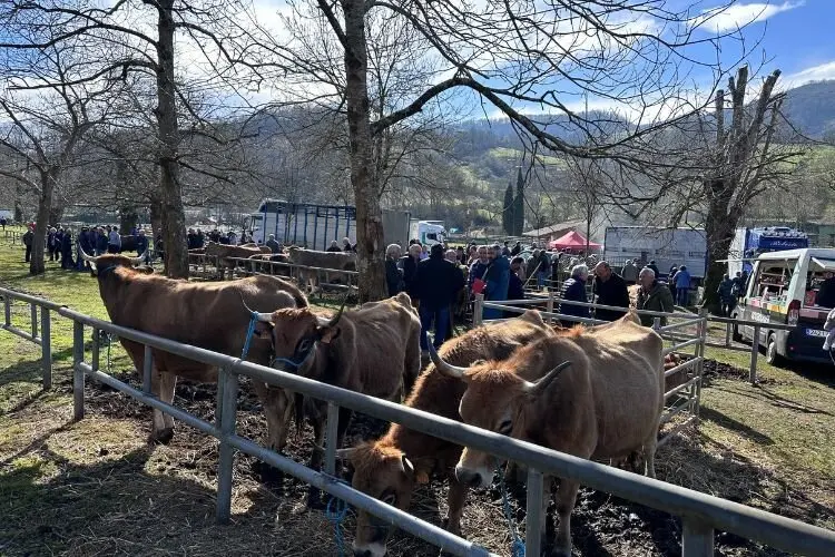 feria-corao-marzo-2025-2