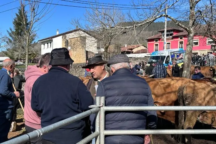 feria-corao-marzo-2025-6