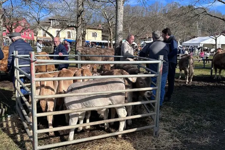 feria-corao-marzo-2025-7