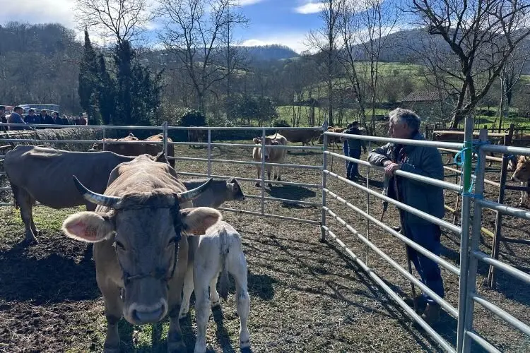 feria-corao-marzo-2025-12