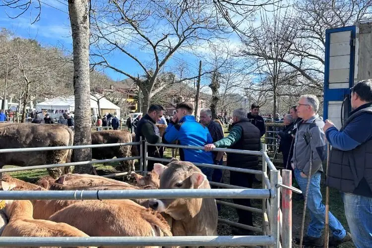 feria-corao-marzo-2025-14