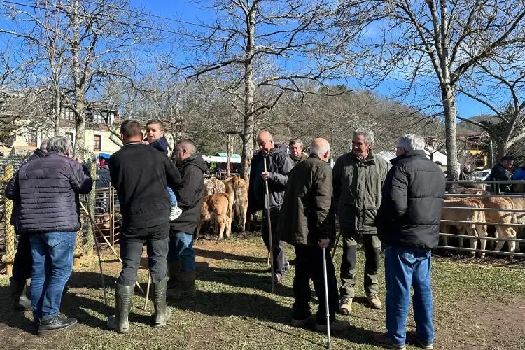 feria-corao-marzo-2025-15