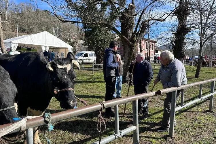 feria-corao-marzo-2025-19