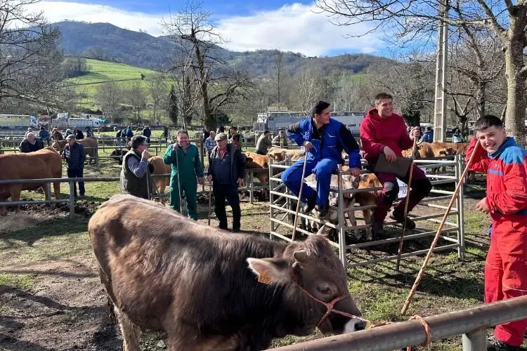 feria-corao-marzo-2025-22