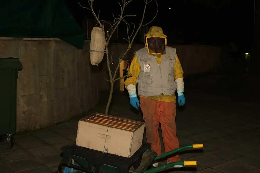 carnaval-llanera-2025-08