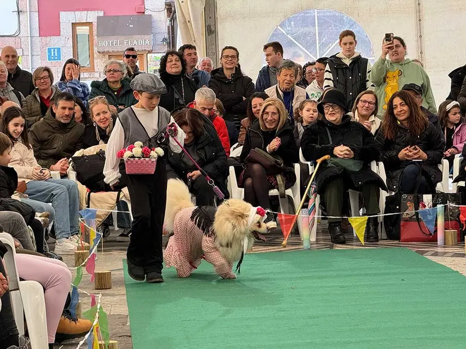 carnaval-mascotas-cangas-onis-2025-022