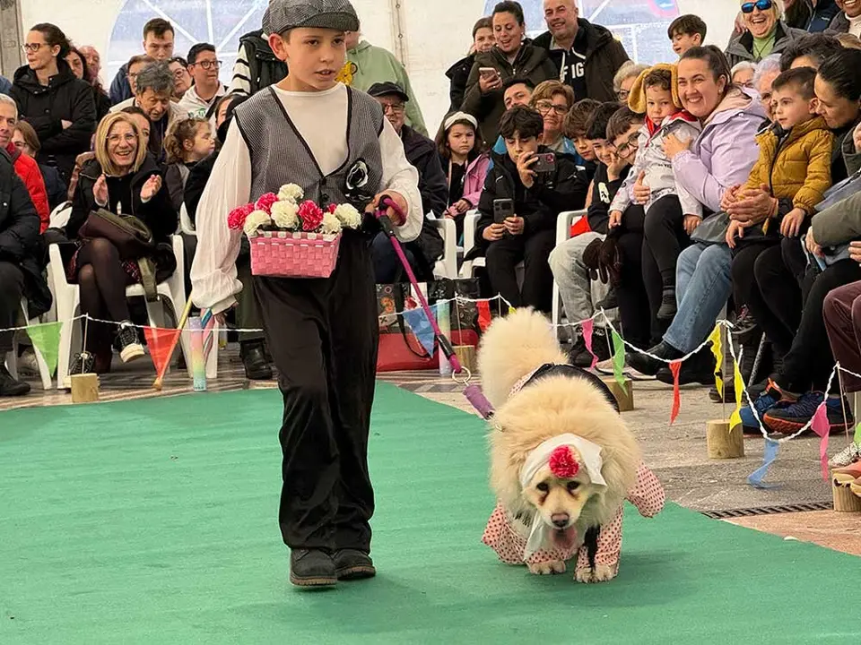 carnaval-mascotas-cangas-onis-2025-023