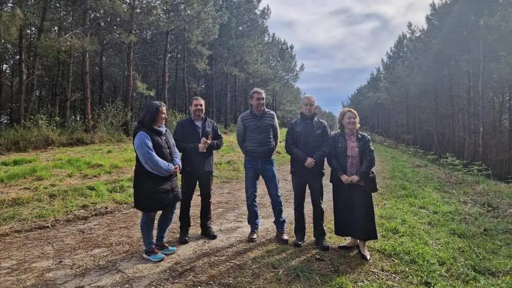 selvicultura-sierra-pana-borbolla-llanes