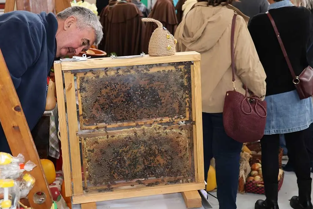 fabes-villaviciosa-2025-02