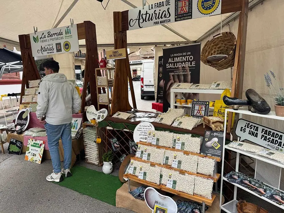 fabes-villaviciosa-2025-046