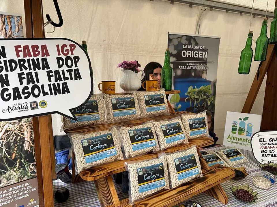 fabes-villaviciosa-2025-047