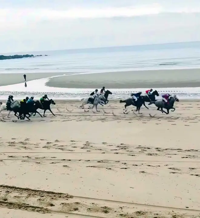 carreras-caballos-ribadesella-2025-02